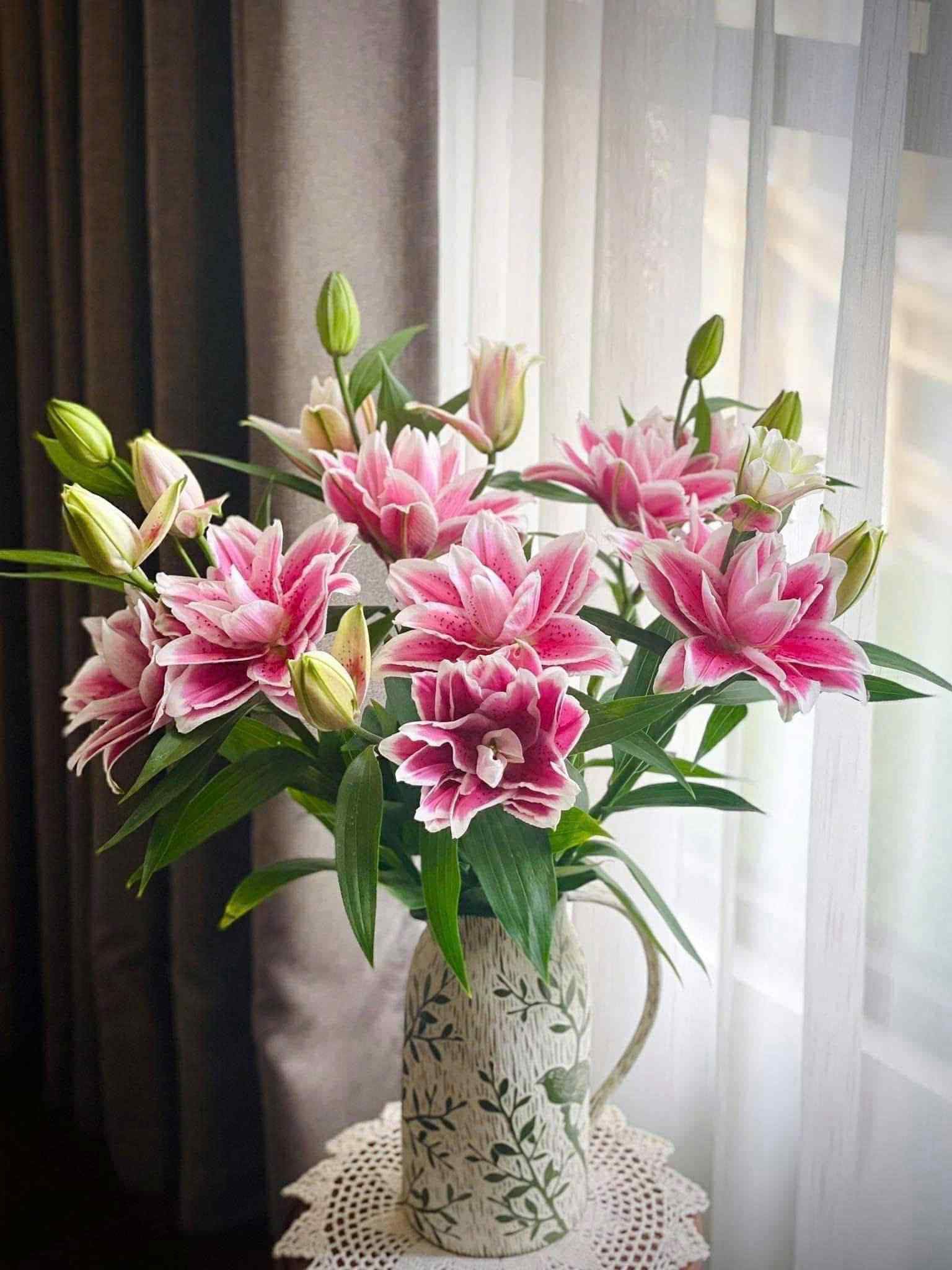 Rose Lily