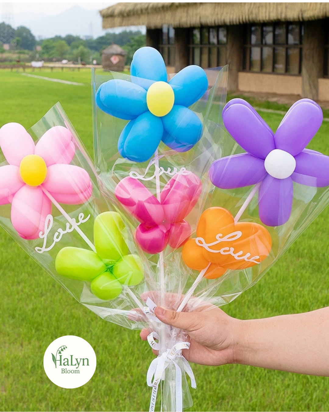 Balloon Flower Happy Daisy