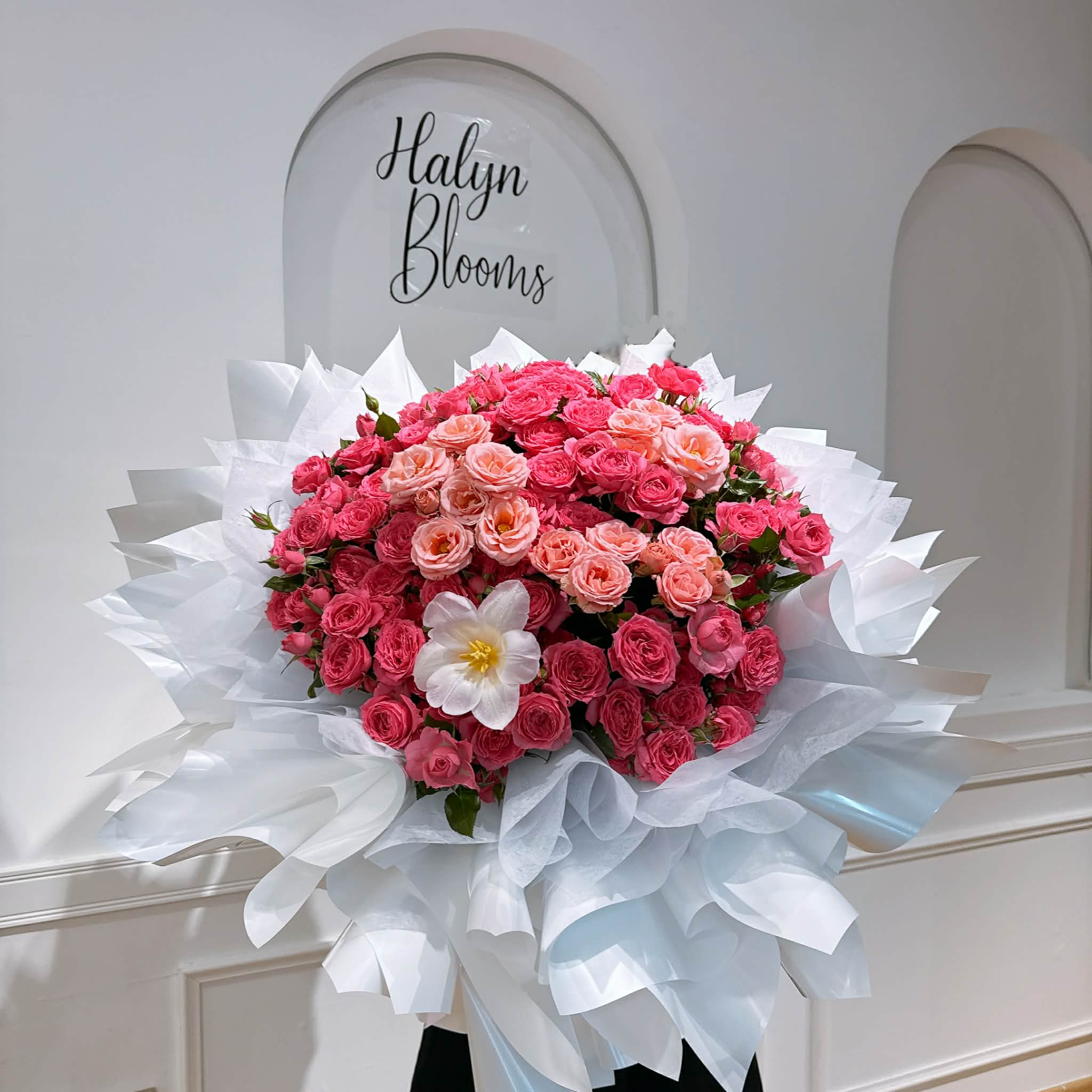 c37a9eed d8b7 41ff 924c 05322a3abdee