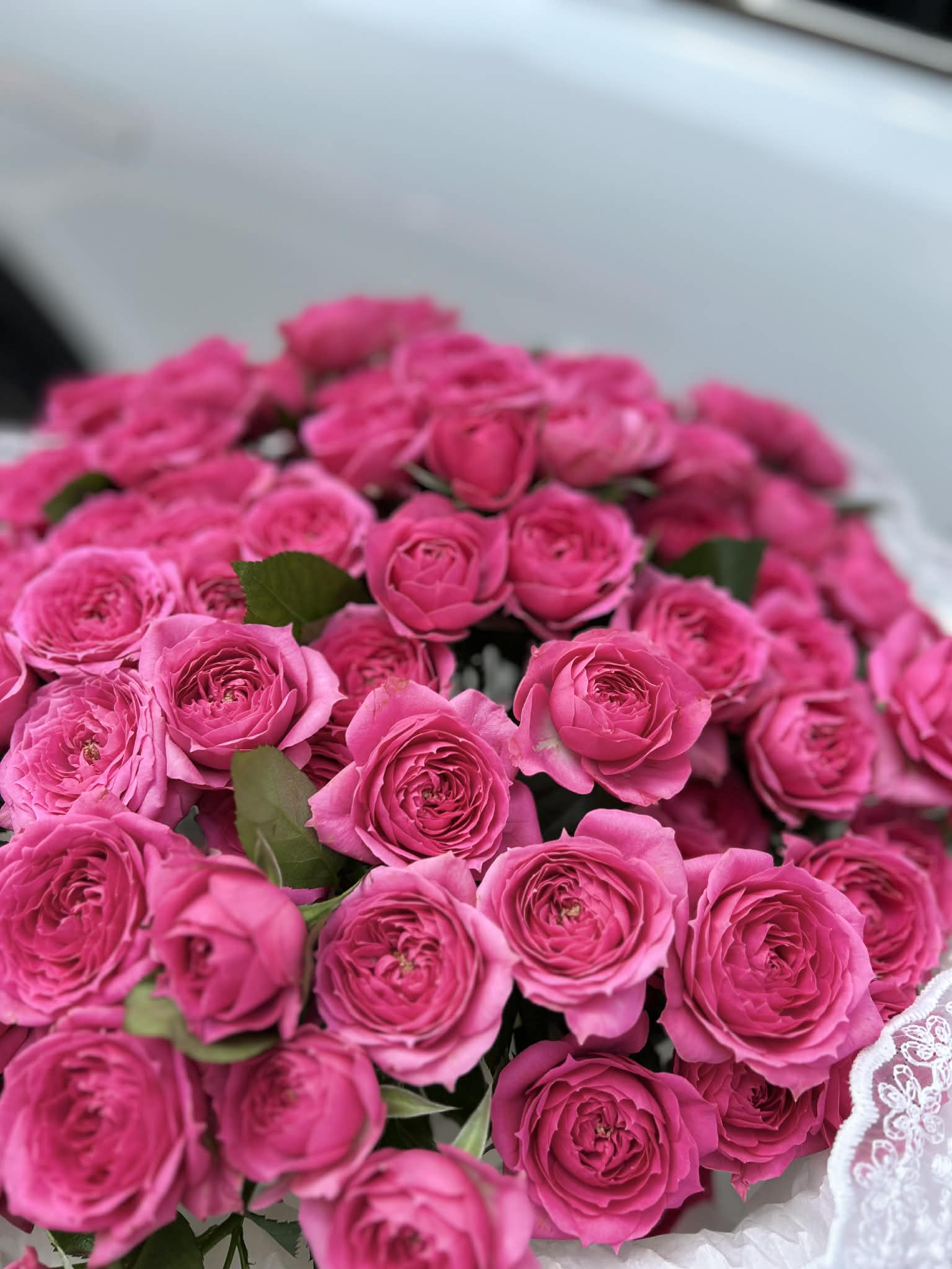 6ecdf45a 0796 4f33 af32 0ecd2c8d7982