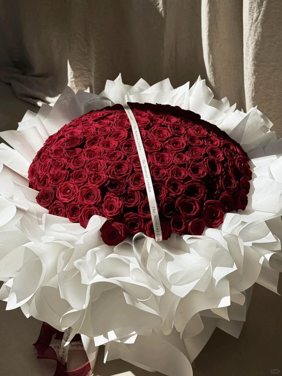 WhatsApp Image 2026 01 20 at 9.52.36 PM