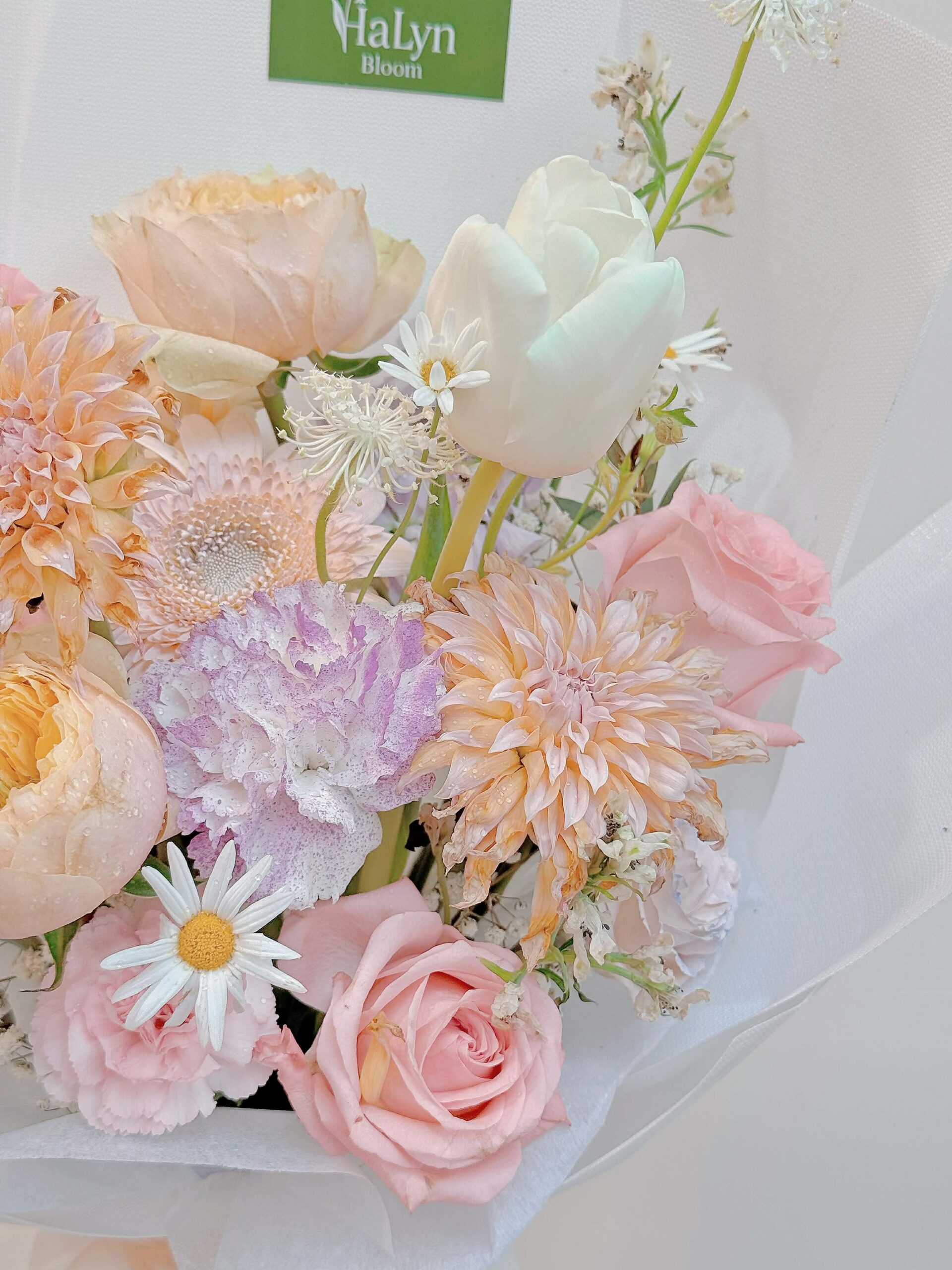 Crystal Sunbeam - Image 3