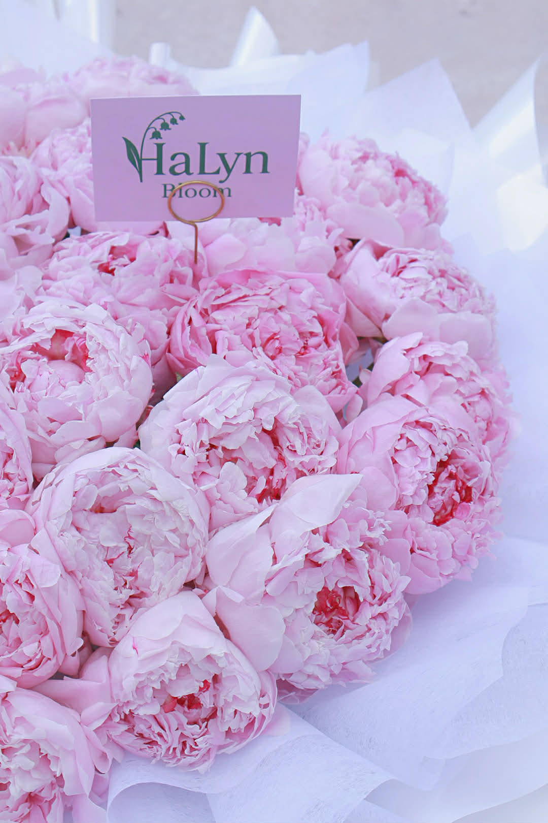 Peony Princess - Image 4