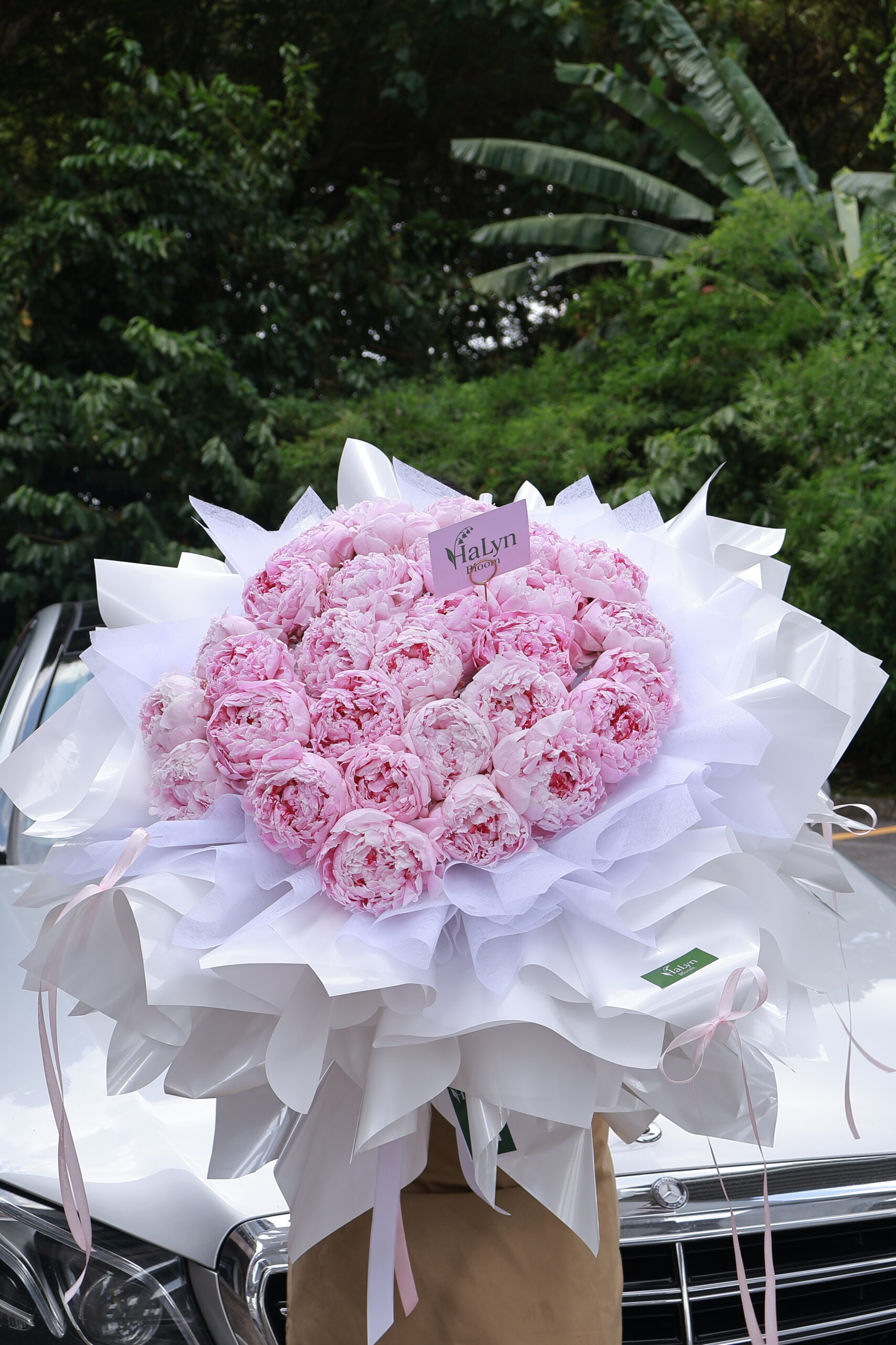 Peony Princess