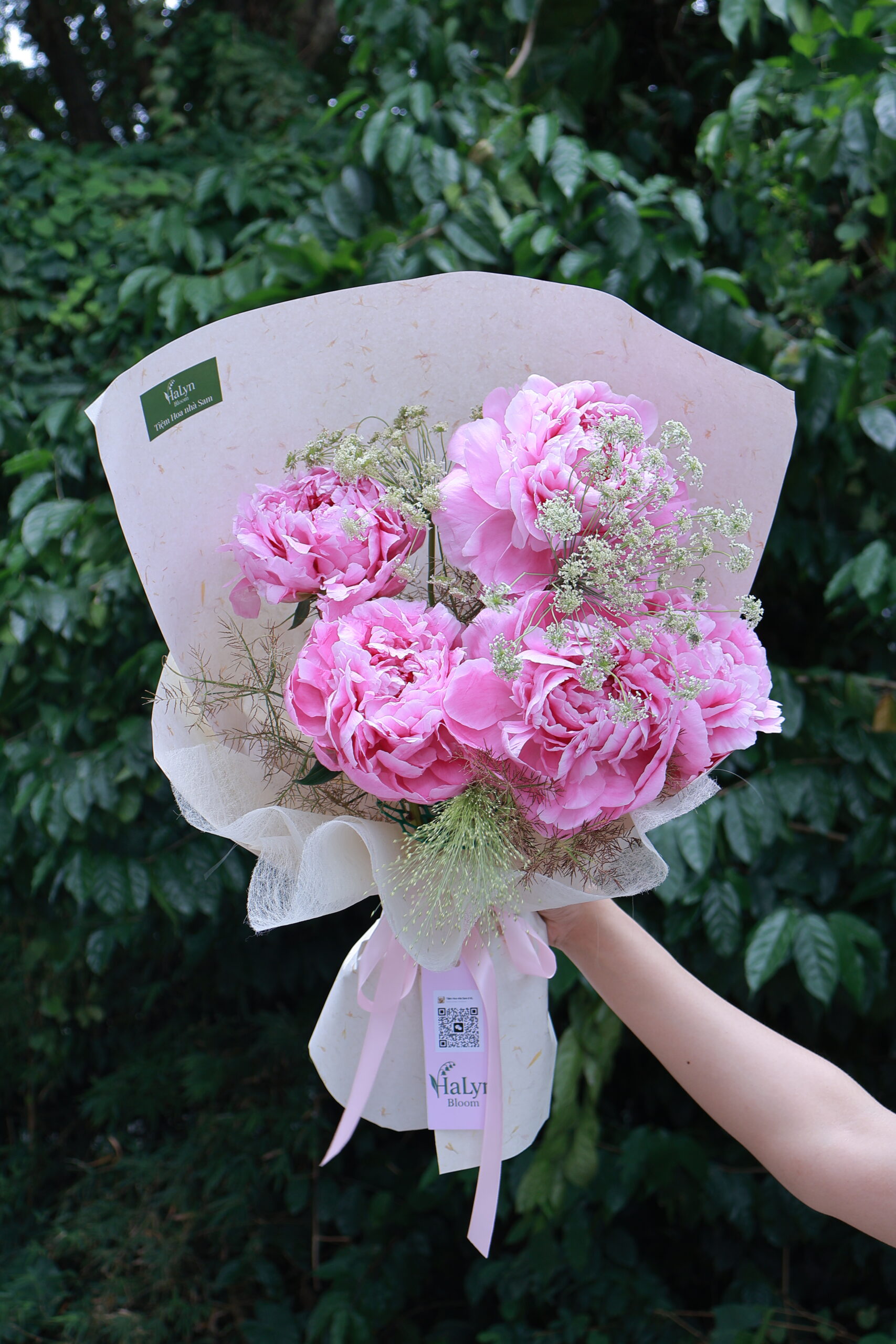 Lovely Peony
