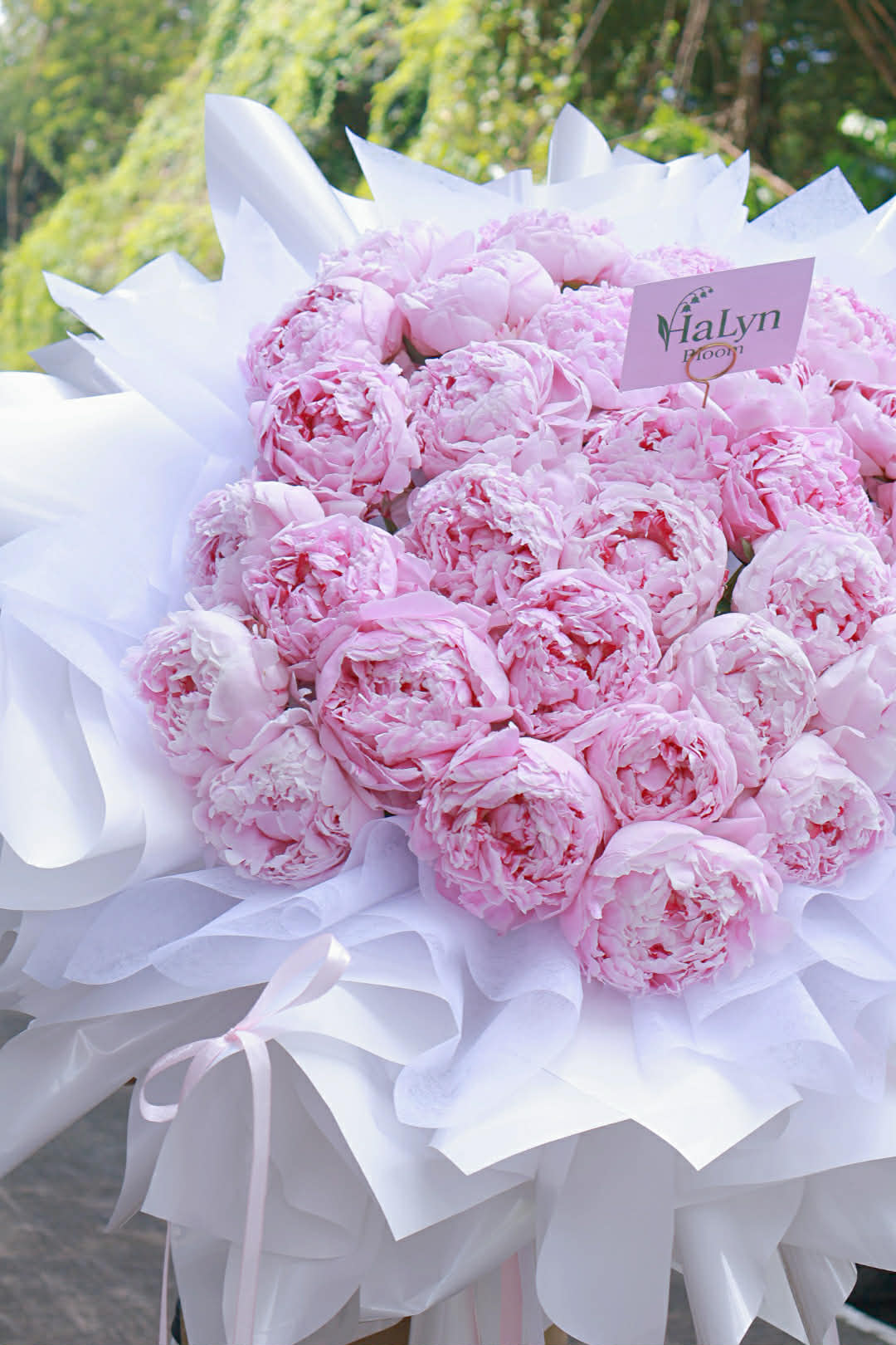 Peony Princess - Image 3