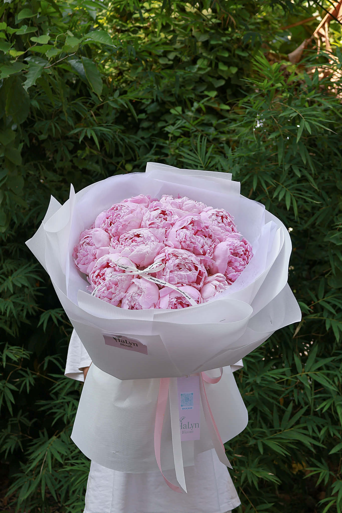Aurora Peony