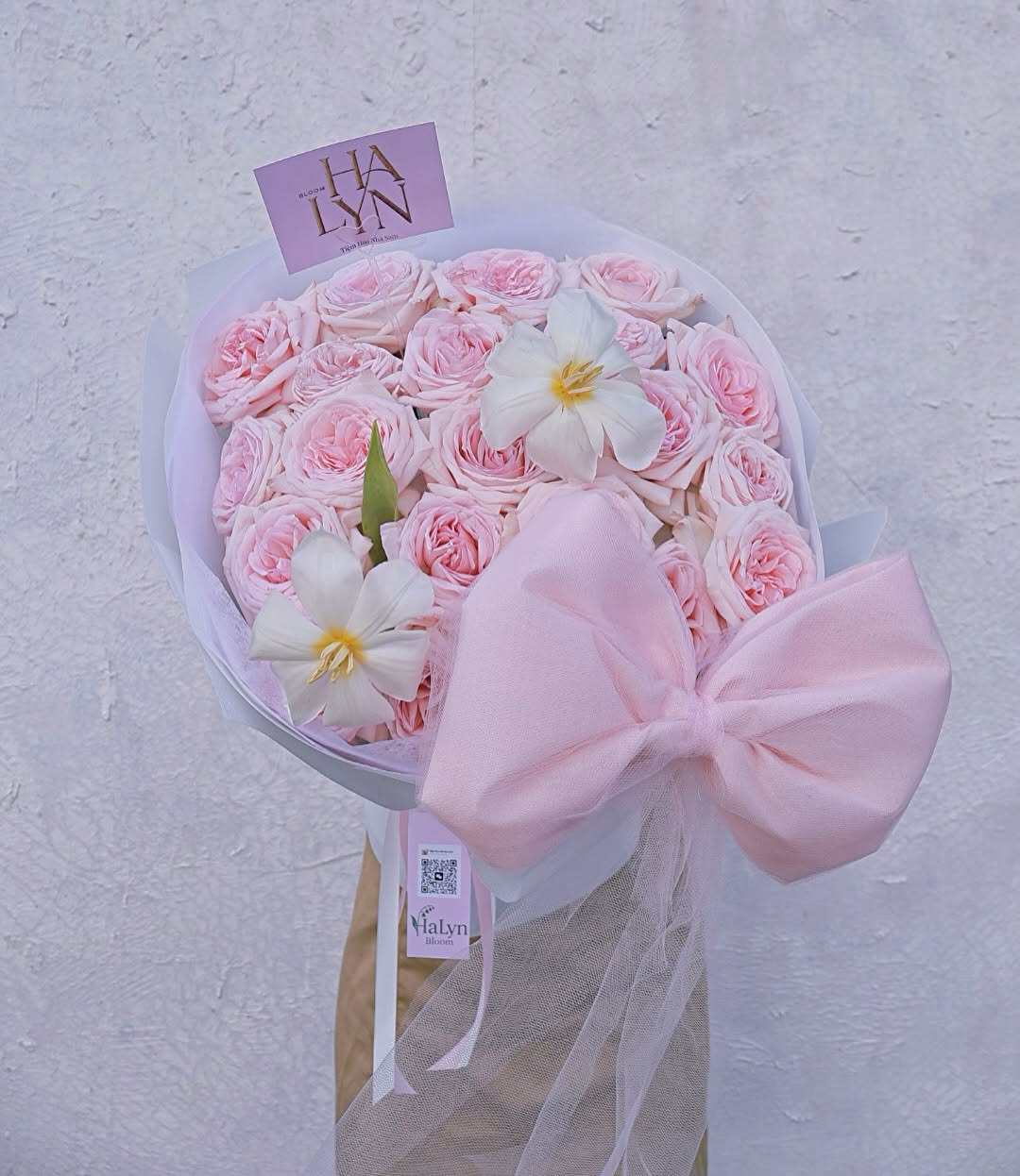Ohara Pink