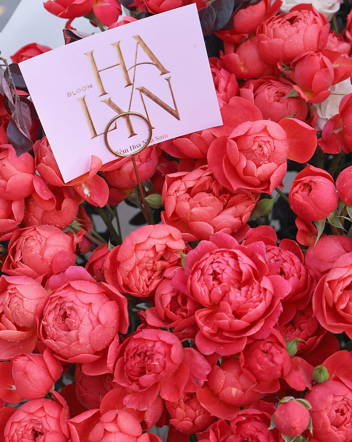 More than just a gift—a flower bouquet from Halyn Bloom is a silent promise of endless love. 🌹✨ (4) More than just a gift—a flower bouquet from Halyn Bloom is a silent promise of endless love. 🌹✨ 4